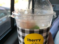 -莓园冰淇淋店