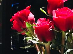 -都氏家DUSJOY(翡翠城店)