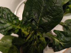 -海底捞火锅(赛格国际购物中心店)