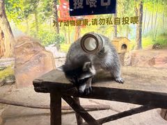 -大连圣亚海洋世界