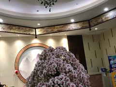 大堂-水中央富硒温泉