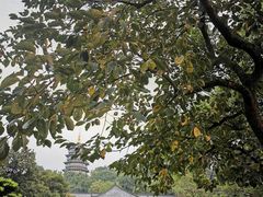 -浙江西子宾馆·牡丹厅