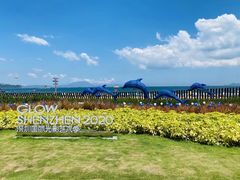 -大梅沙海滨公园