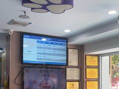 -天使宠物医院·犬猫分诊(彩虹店)