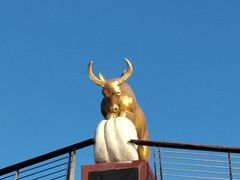 -鱼痴渔醉·食鲜集(月亮湾店)