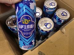 -陈家老院子(高新店)