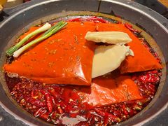 -蜀大侠火锅(总府路店)