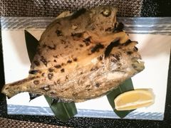 -长崎屋·23年日本料理·刺身·烧鸟(天河北路店)