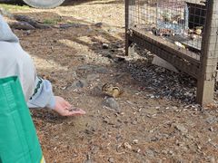 -莫尔道嘎国家森林公园