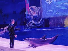 -华夏文旅海洋公园