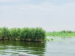 -白洋淀景区