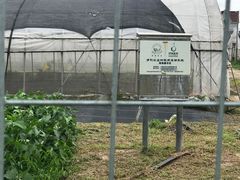 -上海多利农业发展有限公司