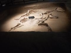 -洛阳周王城天子驾六博物馆