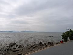 -深圳湾公园(南山区)