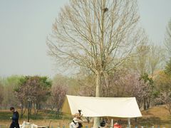 -圣露庄园·露营·烤肉·亲子