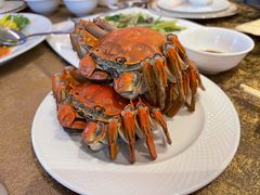 清蒸大闸蟹-王宝和酒家(黄浦店)