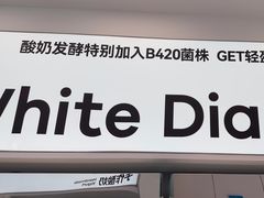 -白色日记·手作酸奶(麦凯乐店)