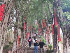 -丰都鬼城名山景区