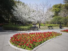 -徐家汇源景区-衡山公园