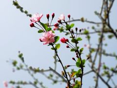 -大宁公园