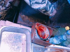 -十里铺铁板鱿鱼