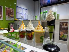 -Salud撒露欧洲冻酸奶(北苑上品店)