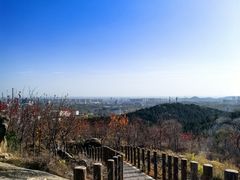 -白水寺森林公园