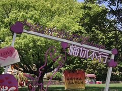 -无锡梅园公园