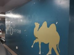 -虹桥综合交通枢纽-P6停车库