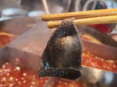 -董眼镜火锅(洪崖洞总店)