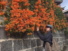 -和顺古镇