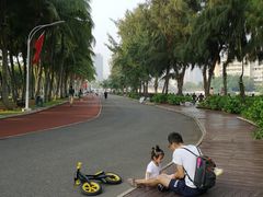 -万绿园
