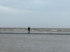 -南汇嘴观海公园