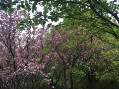 景点-苏州河梦清园环保主题公园