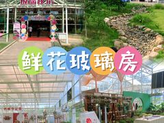 -盈香心动乐园