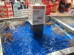 -盒马鲜生(莱蒙都会店)
