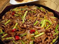 铁板鱿鱼-乡村大苑(嘉定店)
