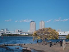 -台场海滨公园船码头