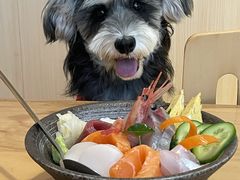 -长崎屋·日本料理·刺身·烧鸟(天河北路店)