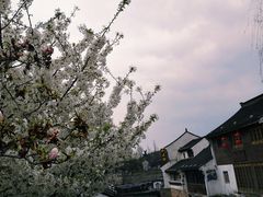 -山塘街