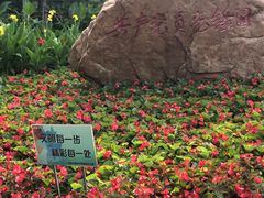 -长白岛森林公园