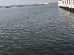 -金鸡湖桃花岛