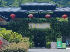 -藏龙百瀑风景区