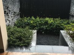 -上海崇明金茂凯悦酒店