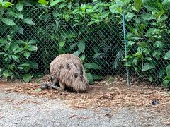 -广州长隆野生动物世界