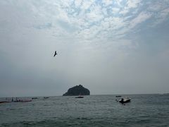 -棒棰岛宾馆景区