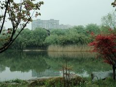 -洋湖国家湿地公园
