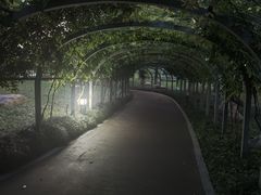-汉水公园
