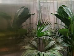 -筑艺咖啡