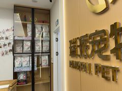 -瑞派康怡24h宠物医院·犬猫医疗中心·微创绝育(瑞景分院)